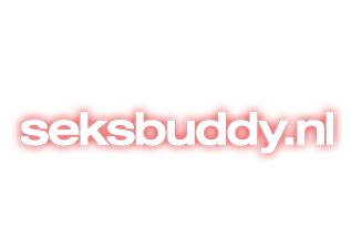 SeksBuddy Review: Features, Costs & Login 